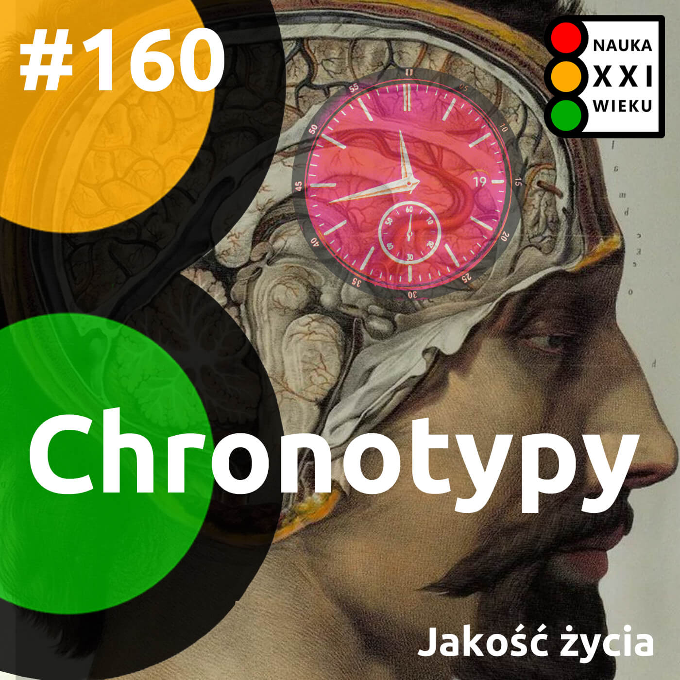 #160 - Chronotypy
