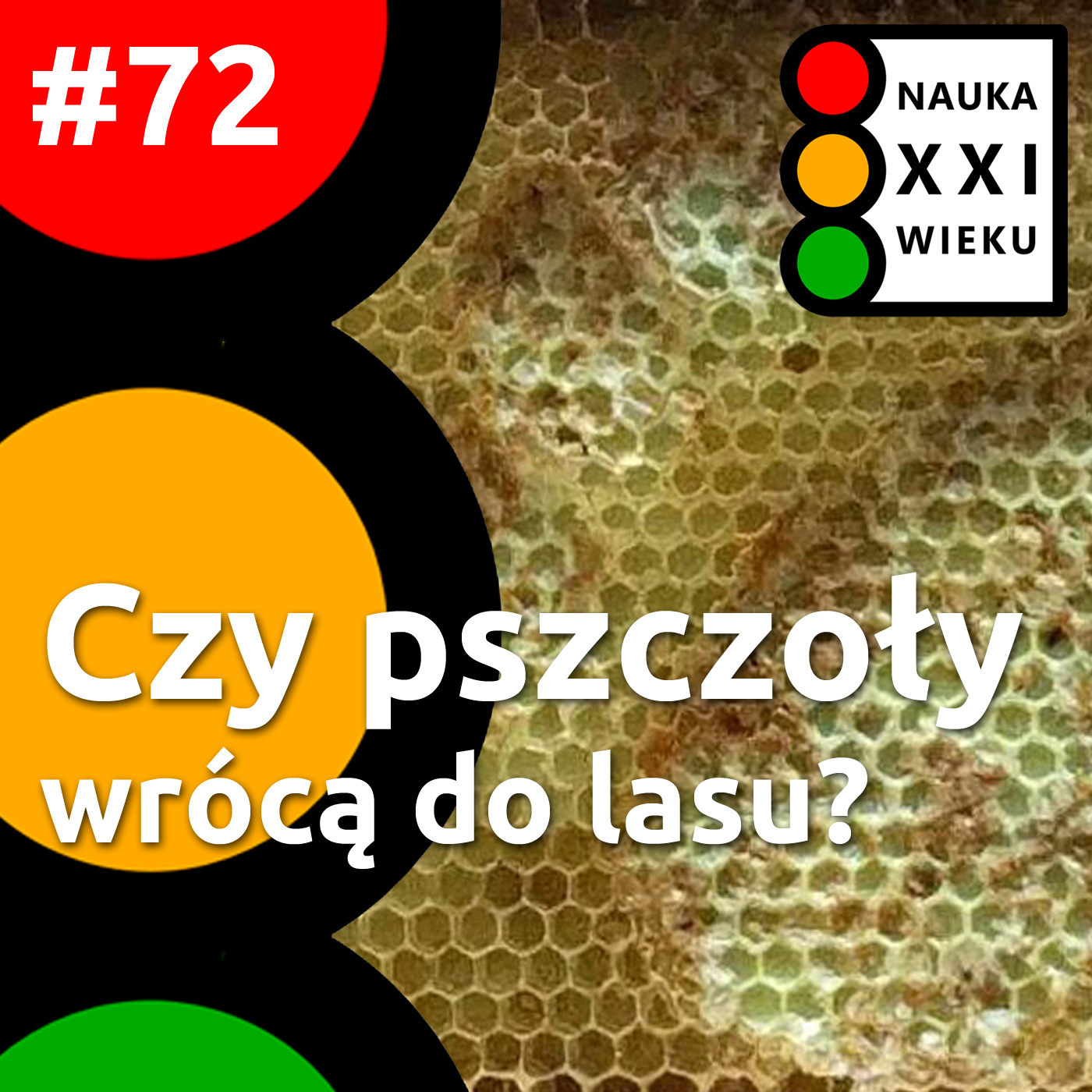 #72 - Czy Pszczoły Wrócą Do Lasu?